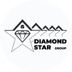 Diamond Star Group logo